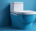 Smart Toilet Bowls vs Traditional Ones